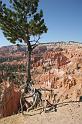 C004  N.P. Bryce canyon